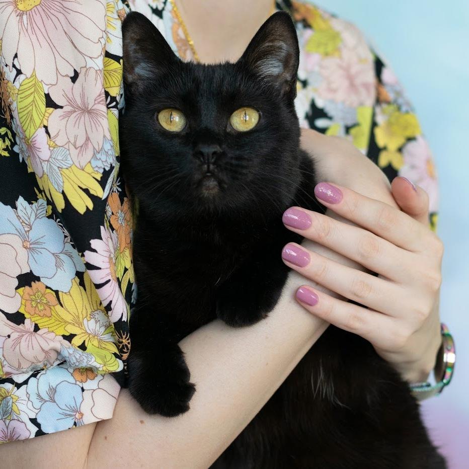 Лак для ногтей MASURA Золотая Сирень, 11 мл - превью