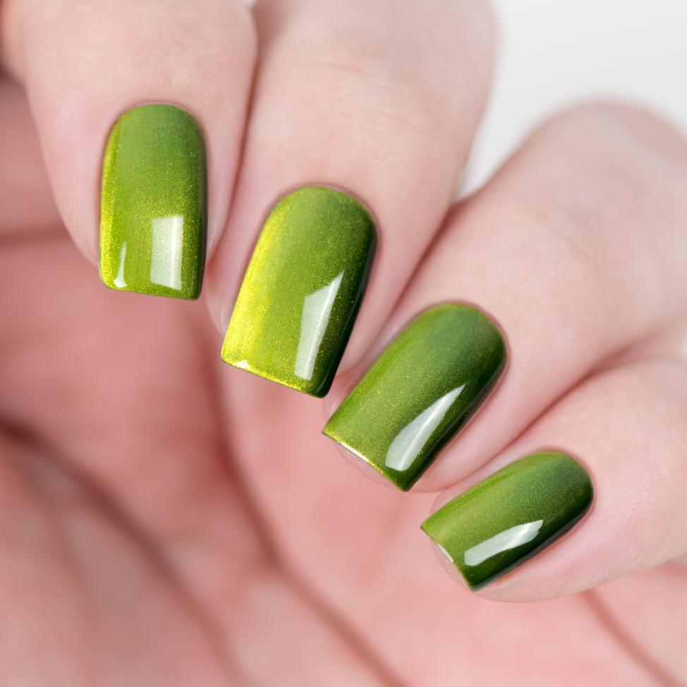 Лак для ногтей магнитный daodo Ранний Папоротник, 12 мл, D012