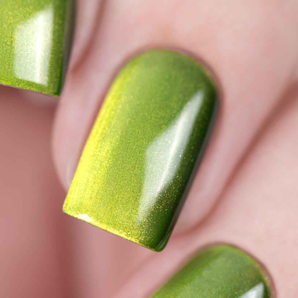 Лак для ногтей магнитный daodo Ранний Папоротник, 12 мл - превью